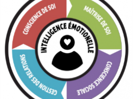 Adapter sa posture professionnelle et sa communication avec les outils de l'Intelligence Emotionnelle